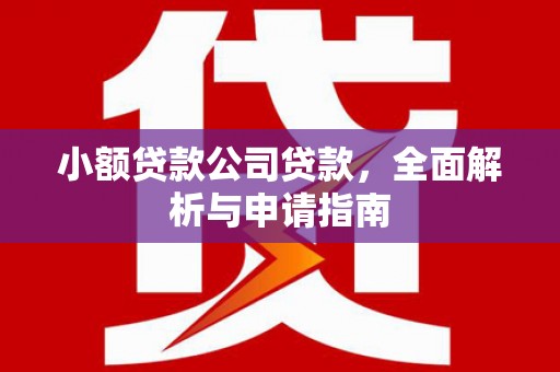 桦南小额贷款公司贷款，全面解析与申请指南