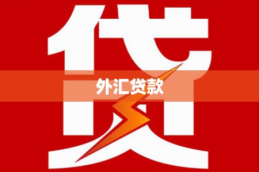 桦南外汇贷款