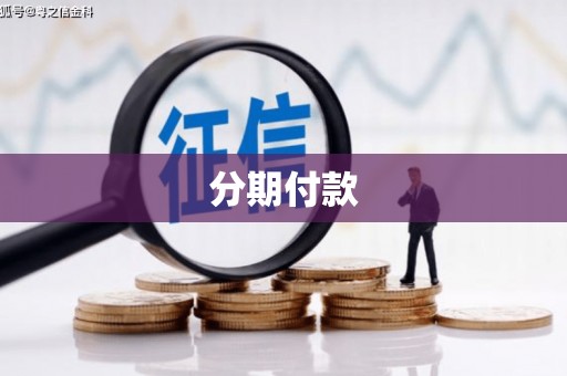 桦南分期付款