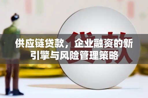 桦南供应链贷款，企业融资的新引擎与风险管理策略