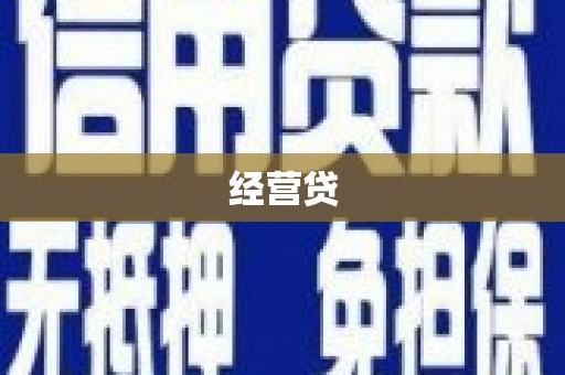 桦南经营贷