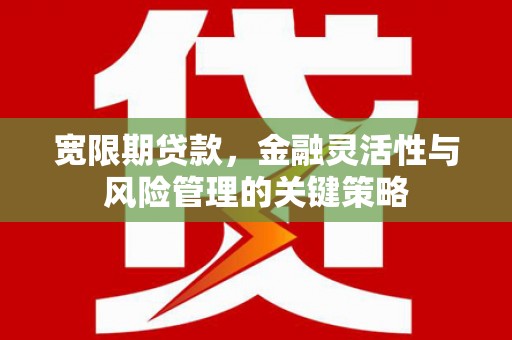 桦南宽限期贷款，金融灵活性与风险管理的关键策略