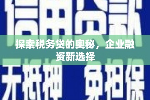桦南探索税务贷的奥秘，企业融资新选择