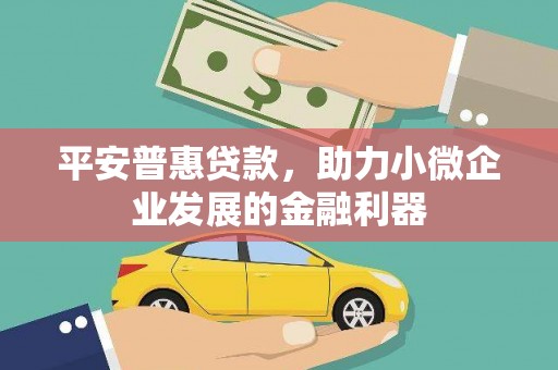 桦南平安普惠贷款，助力小微企业发展的金融利器