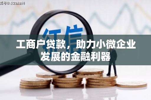 桦南工商户贷款，助力小微企业发展的金融利器