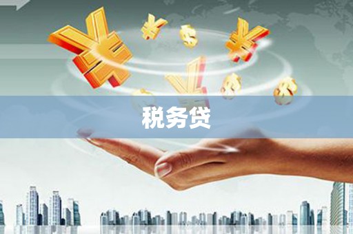 桦南税务贷