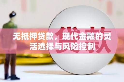 桦南无抵押贷款，现代金融的灵活选择与风险控制