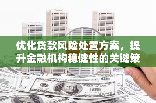 桦南优化贷款风险处置方案，提升金融机构稳健性的关键策略