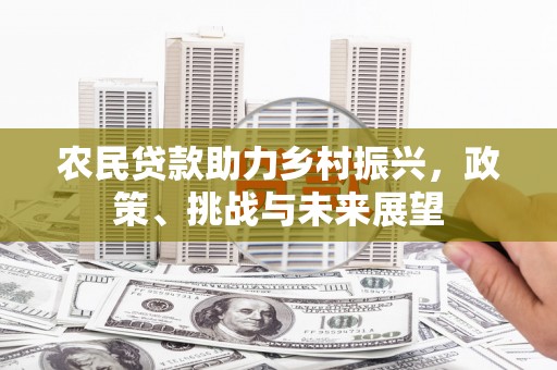 桦南农民贷款助力乡村振兴，政策、挑战与未来展望
