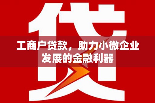 桦南工商户贷款，助力小微企业发展的金融利器