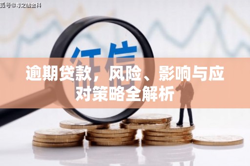 桦南逾期贷款，风险、影响与应对策略全解析