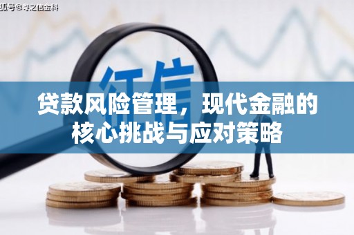 桦南贷款风险管理，现代金融的核心挑战与应对策略