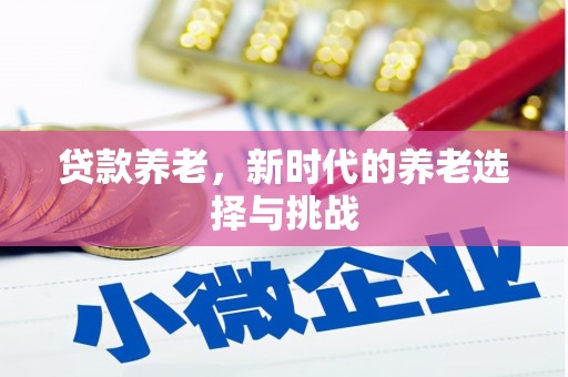 桦南贷款养老，新时代的养老选择与挑战