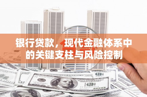 桦南银行贷款，现代金融体系中的关键支柱与风险控制