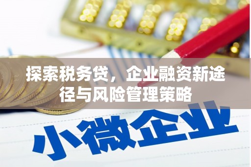 桦南探索税务贷，企业融资新途径与风险管理策略
