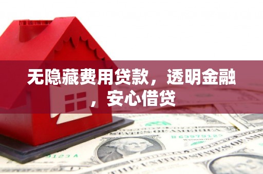 桦南无隐藏费用贷款，透明金融，安心借贷