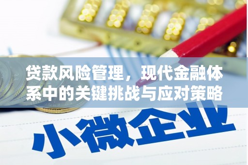 桦南贷款风险管理，现代金融体系中的关键挑战与应对策略