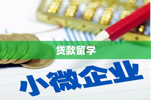 桦南贷款留学