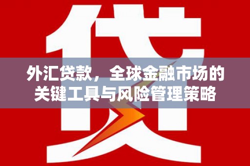 桦南外汇贷款，全球金融市场的关键工具与风险管理策略