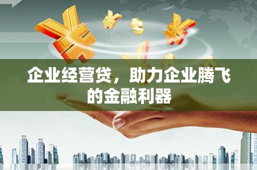 桦南企业经营贷，助力企业腾飞的金融利器