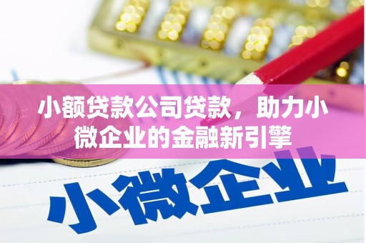 桦南小额贷款公司贷款，助力小微企业的金融新引擎