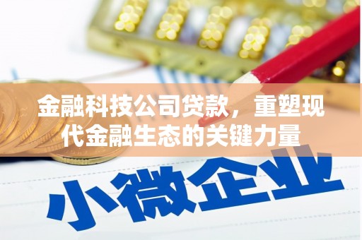 桦南金融科技公司贷款，重塑现代金融生态的关键力量