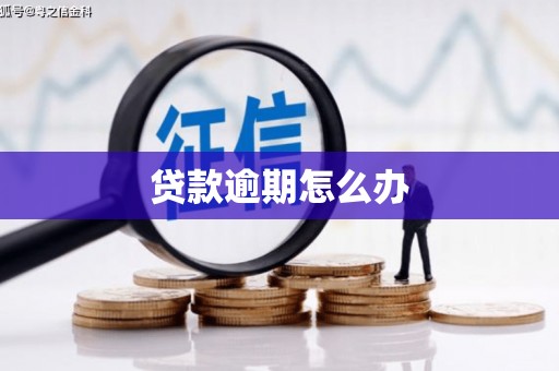 桦南贷款逾期怎么办