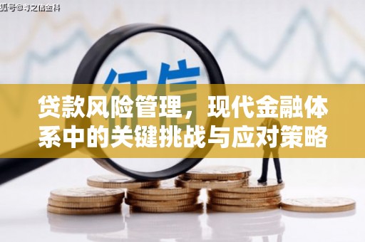 桦南贷款风险管理，现代金融体系中的关键挑战与应对策略