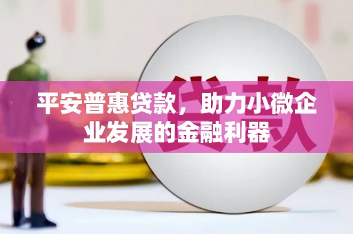 桦南平安普惠贷款，助力小微企业发展的金融利器