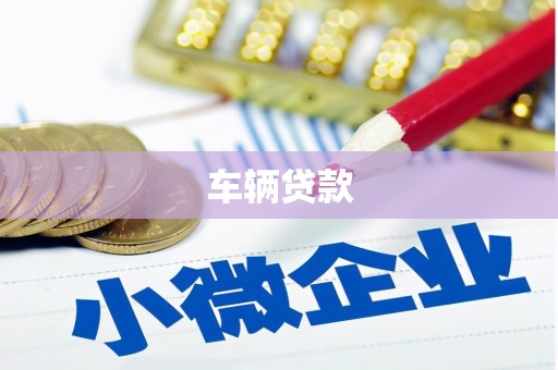 桦南车辆贷款